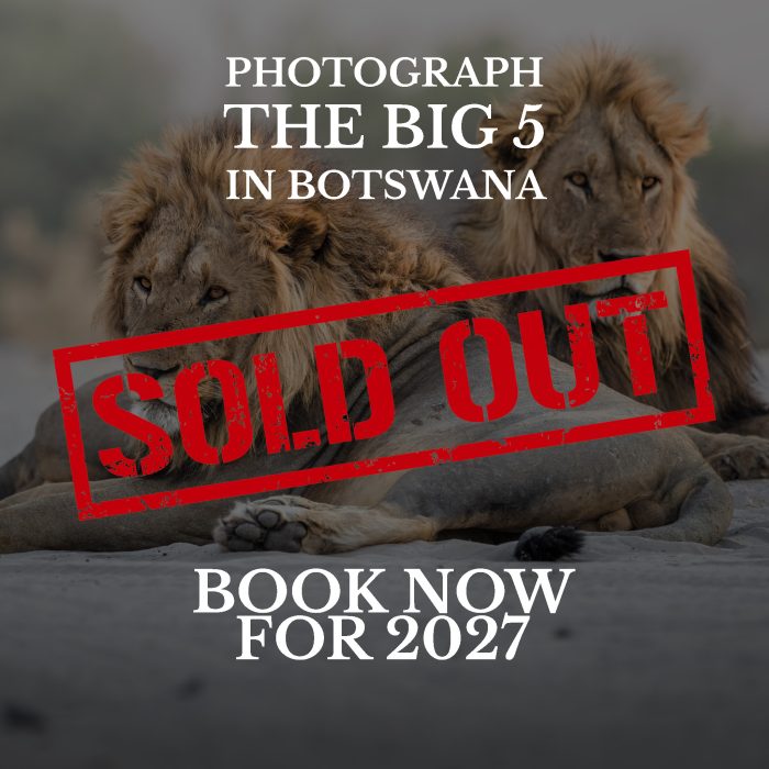 Letaka_Main_00-SOLD-1