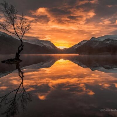 padarn