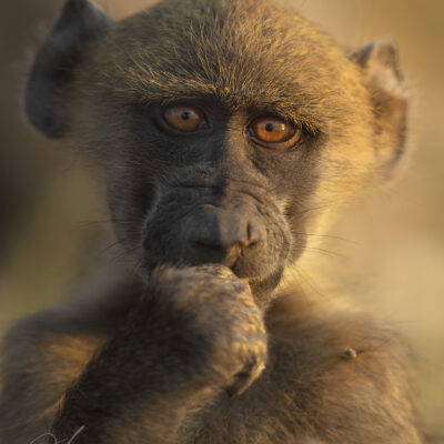 Botswana_image_04