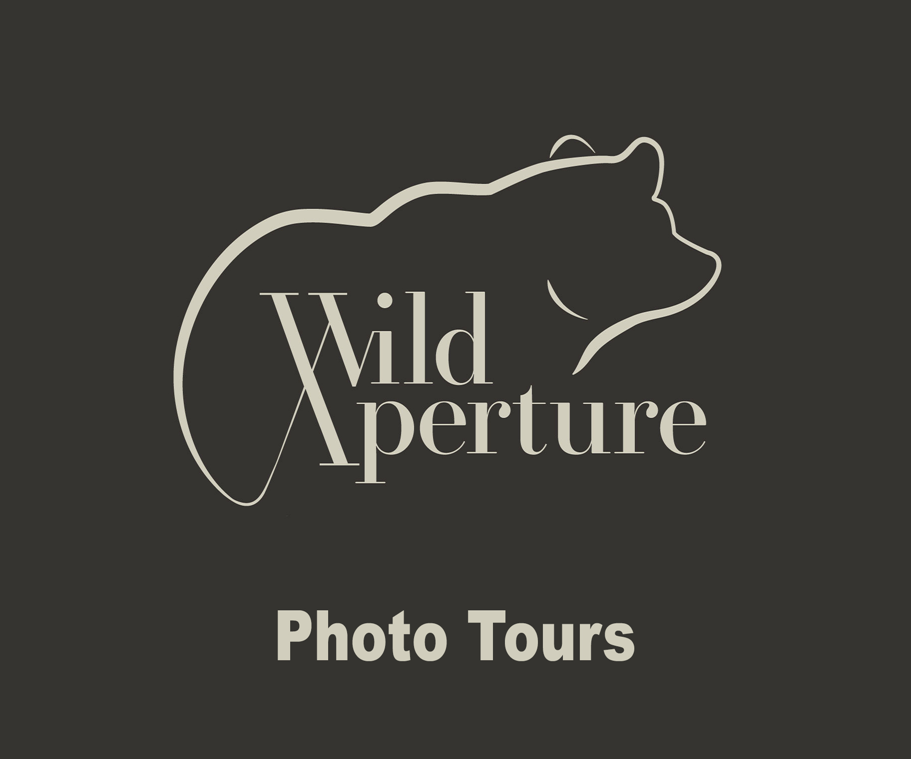 Wild-Aperture-Advertising